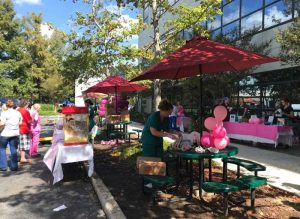 Springhill 10th Annual Pink Party