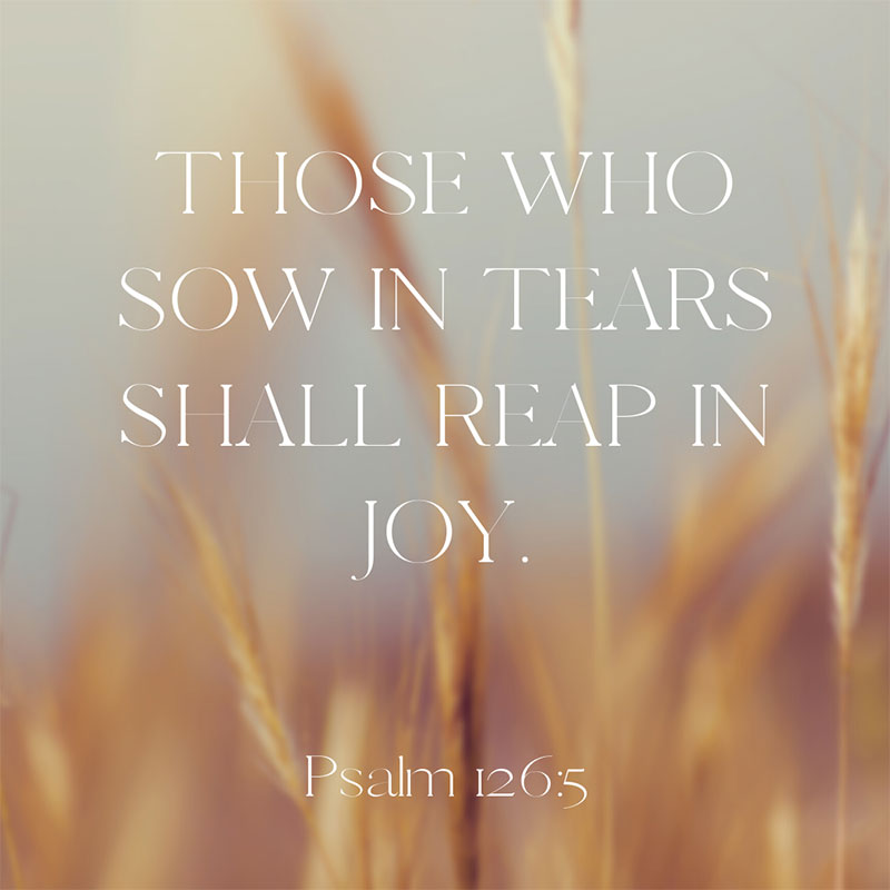 those who sow in tears quote