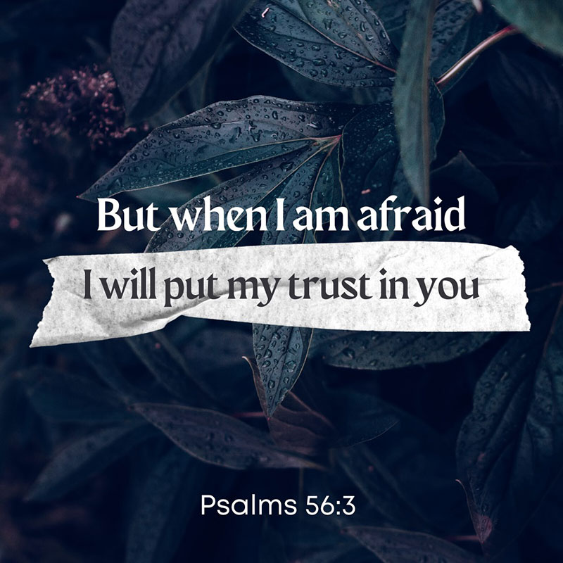 but when i'm afraid, i will put my trust in you